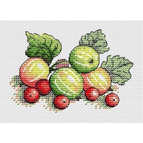 SM592 Scented gooseberry 10x13 cm