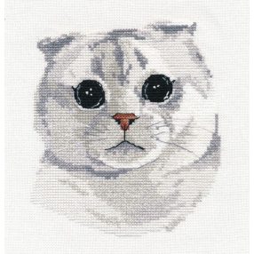 S1323 Scottish Fold 13x14 cm