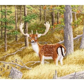 dzh045 Forest deer 38,5x34,5 cm