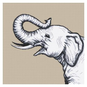 Z10655 Black and white elephant 40x40 cm