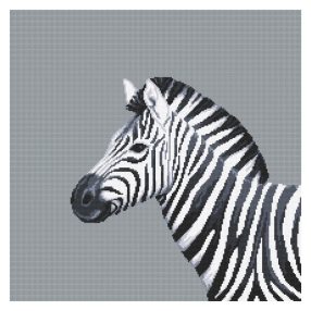 Z10656 Black and white zebra 40x40 cm
