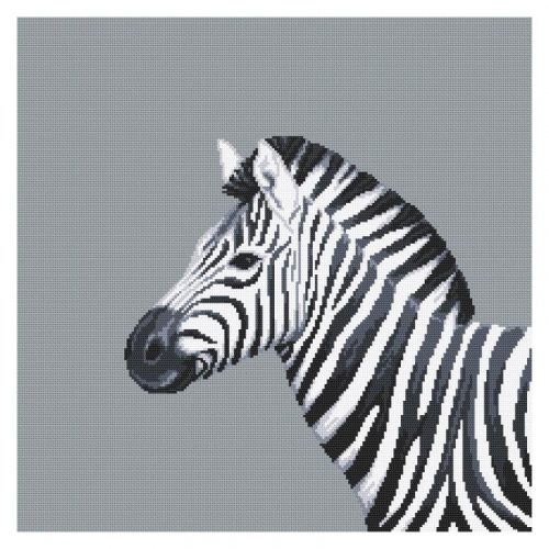 Z10656 Fekete-fehér zebra 40x40 cm