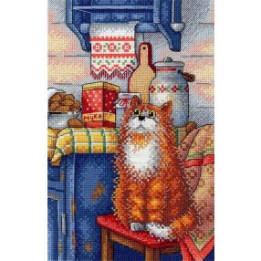 SNV723 Curious 22x15 cm