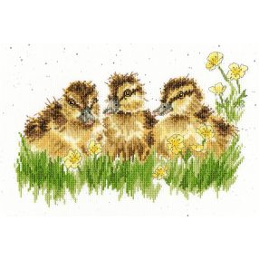 XHD78 Hannah Dale - Buttercup 30x20 cm