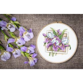 Z10314 Stately irises 20x20 cm