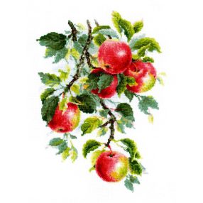 1938 Juicy Apples 30x40 cm