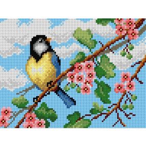 SA2777 Cinke 18x24 cm