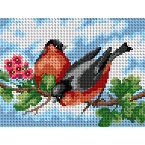 SA2771 Vörösbegyek 18x24 cm