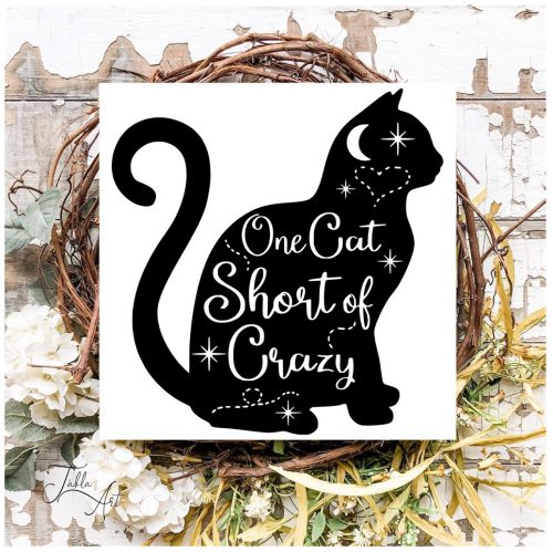 1660 One cat short of crazy 30x30 cm (fa)