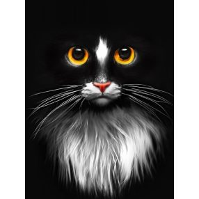 AZ1899 Black cat 30x40 cm