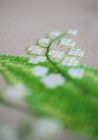 PN-0178209 Lily of the valley 80x80 cm