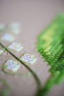 PN-0178209 Lily of the valley 80x80 cm