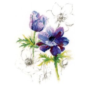 PN-0008028 Blue anemones 20x28 cm