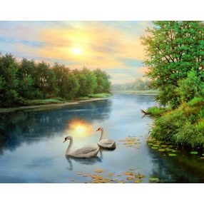 WD2607 Swans at dawn 38x48 cm
