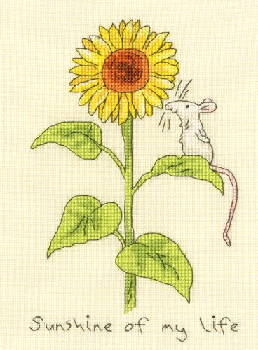 XAJ13 Anita Jeram - Sunshine of my life 14x19 cm