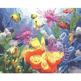 pm008 Maldives 34x43 cm