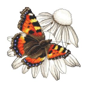 Z10331 Butterfly and echinacea flower 20x20 cm