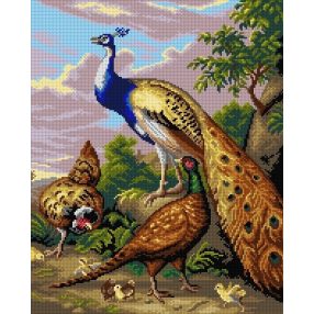 3229M T.Stranover-Páva, fácán és tojó 40x50 cm