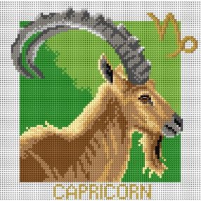 3198H Capricorn 24x24 cm