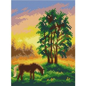 3194F Ló naplementében 18x24 cm