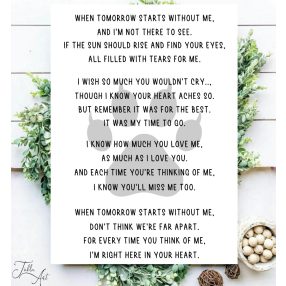 1997 When tomorrow starts without me - macska 