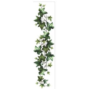 Z10679 Ivy 15x60 cm