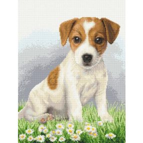 10339 Terrier puppy 37x49 cm