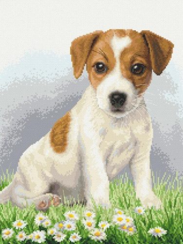 10339 Terrier kiskutya 37x49 cm