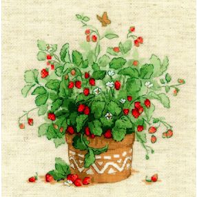 1984 Strawberries in a Pot 25x25 cm