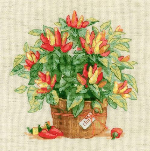 1982 Paprika kaspóban 25x25 cm