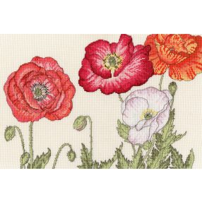 XBD15 Poppy Blooms 36x24 cm