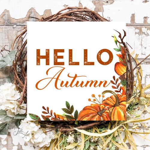 2056 Hello Autumn 