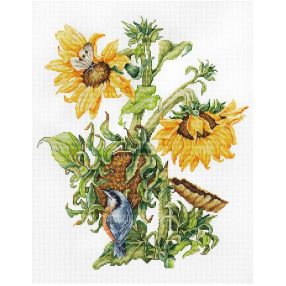 B7004 Szeptember 27x33 cm