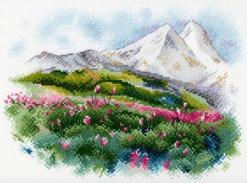 SA044 Elbruszi nyár 20x25 cm