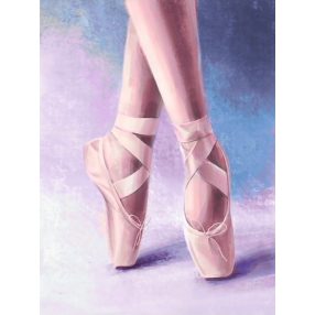 WD3002 Pointe shoes 30x40 cm