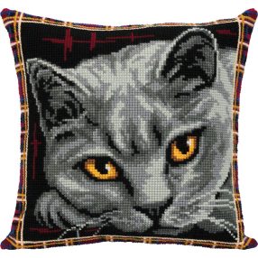 pan-7122 British Blue Cat 40x40 cm