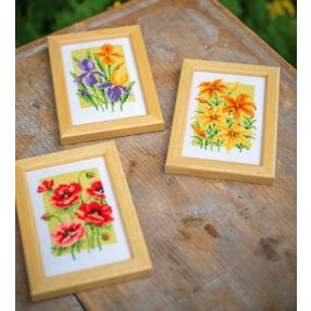 PN-0164189 Miniature kit Summer flowers set of 3 8x12 cm