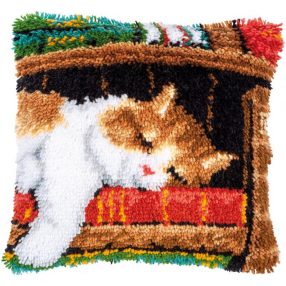 PN-0149737 Cat sleeping on bookshelf 40x40 cm