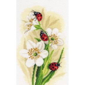 PN-0191875 Ladybug parade 22x33 cm