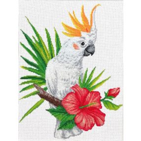 nc440-099 Cockatoo call 26x34 cm