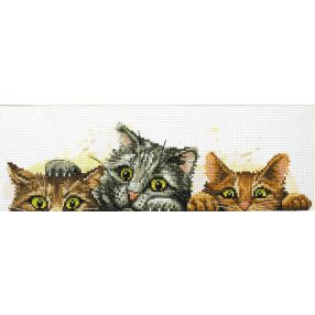 nc250-003 Curious Kittens 40x13 cm