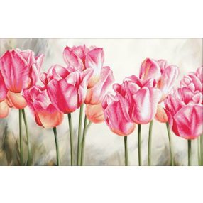nc650-021 Pink Tulips 67x42 cm