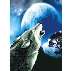 nc650-027 Howling Wolf 46,4x63 cm