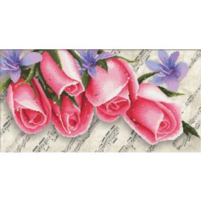 nc650-010 Pink Roses & Music 61x30 cm