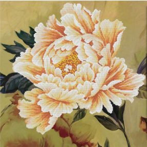 nc450-037 Blooming Peony2 51x51 cm