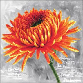 nc450-017 Orange Dahlia 43x43 cm