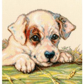 m711 Puppy 20,5x22 cm