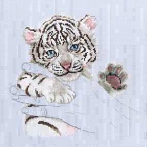 m893 Little Tiger 24x23,5 cm