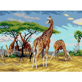 3308J F.Wilhelm Kubnert-Zsiráfok (részlet) 30x40 cm