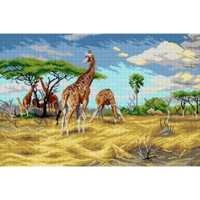 3311Q F.Wilhem Kubnert-Zsiráfok 40x60 cm